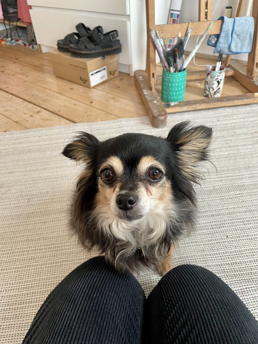 NFBootys's tweet photo. GM friends. Look who’s come to stay for the weekend 🥰 what are you up to this Fridayyyy? #NFTartist #WomenInNFTs #NFTPainters #NFBootys https://t.co/ppWgVH7Sy6
