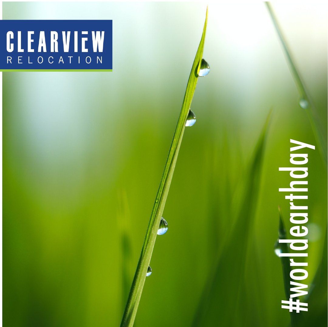 ClearviewRelo's tweet photo. At Clearview Relocation we are committed to Sustainable Development. Now is the time for change.  #worldearthday #worldearthday2022 #sustainability #sustainabledevelopment #ourworld #ourplanet #globalmobility #immigration #relocation #movingservices #committedtochange https://t.co/Ua1yMG0huO