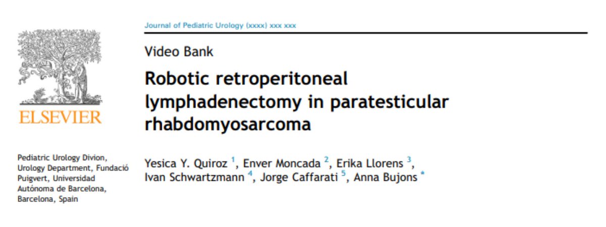 La linfadenectomía robótica es una alternativa a la cirugía abierta en pacientes pediátricos afectados de  rabdomiosarcoma paratesticular de alto riesgo. 

📑 bit.ly/3xIWyBe

#PuigvertEnLaCiencia