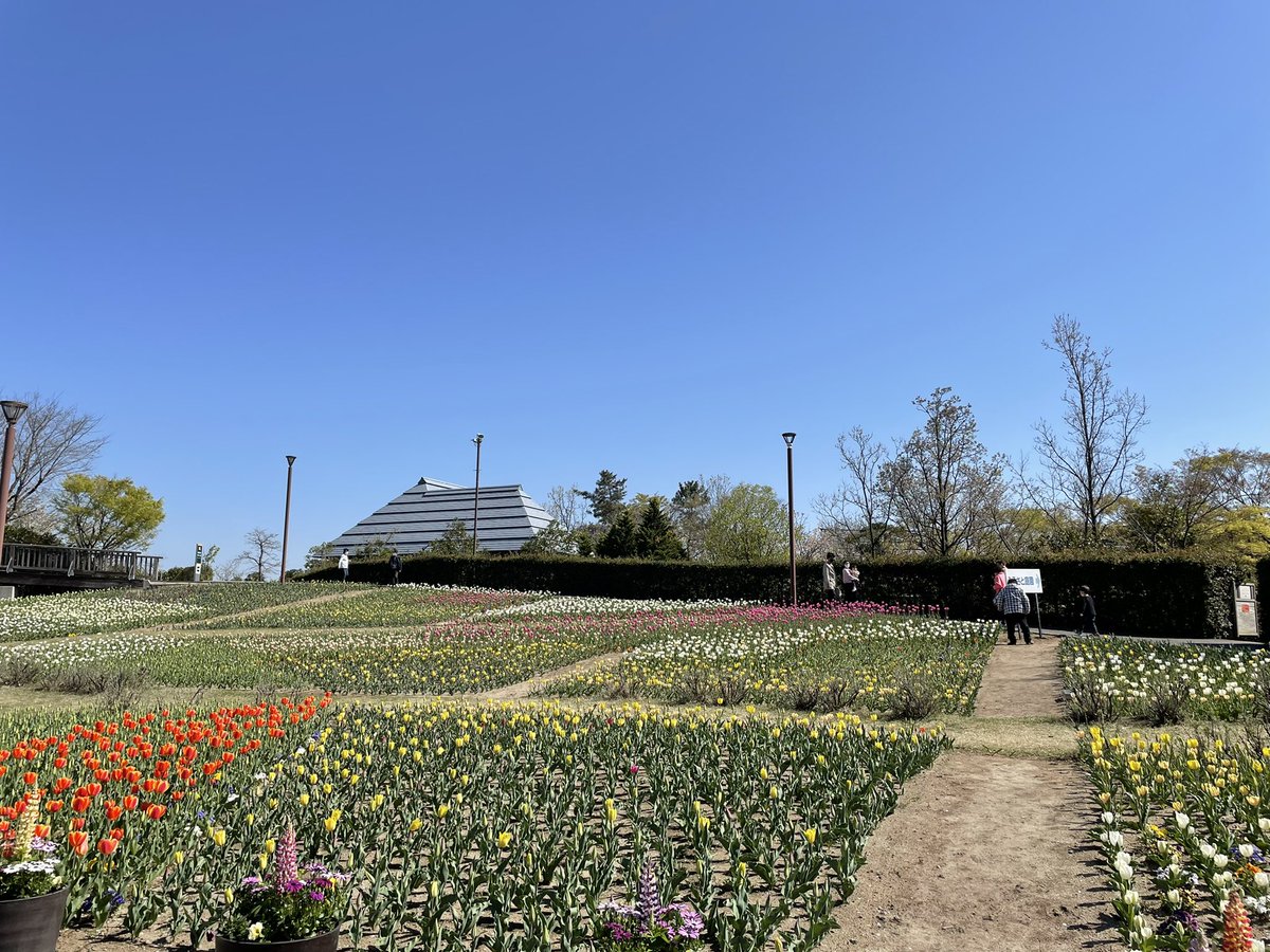niigata_ndsc's tweet photo. 【【本日21時より、5/1(日)撮影会の予約を開始します🌸】】

■モデル　
しおり、MASAKO、SARA、木乃、おごせ綾、白花みか、ゆりや

■場所
新潟ふるさと村　花畑(チューリップ狙い)

■各3枠/45分
①8:00～ (屋内施設開園前)
②9:00～
③10:00～

ご予約はHPのフォームへ🌼

#モデル #撮影会 #新潟 https://t.co/WS4a2CYJ1S