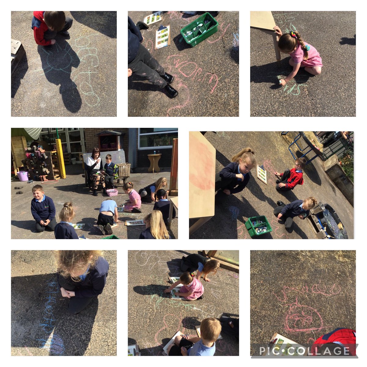 BartonMossCPS's tweet photo. This week Reception were practicing spelling and letter formation outside 🌞 They were drawing their favourite minibeasts and labelling them, related to our book ‘The bug hotel’ 🐞🐝🐌🐛🪱 @missroneill_ @mrsb00th #BartonMossEnglish #BartonMossArt #BartonMossScience https://t.co/Sb5KY9RtbQ