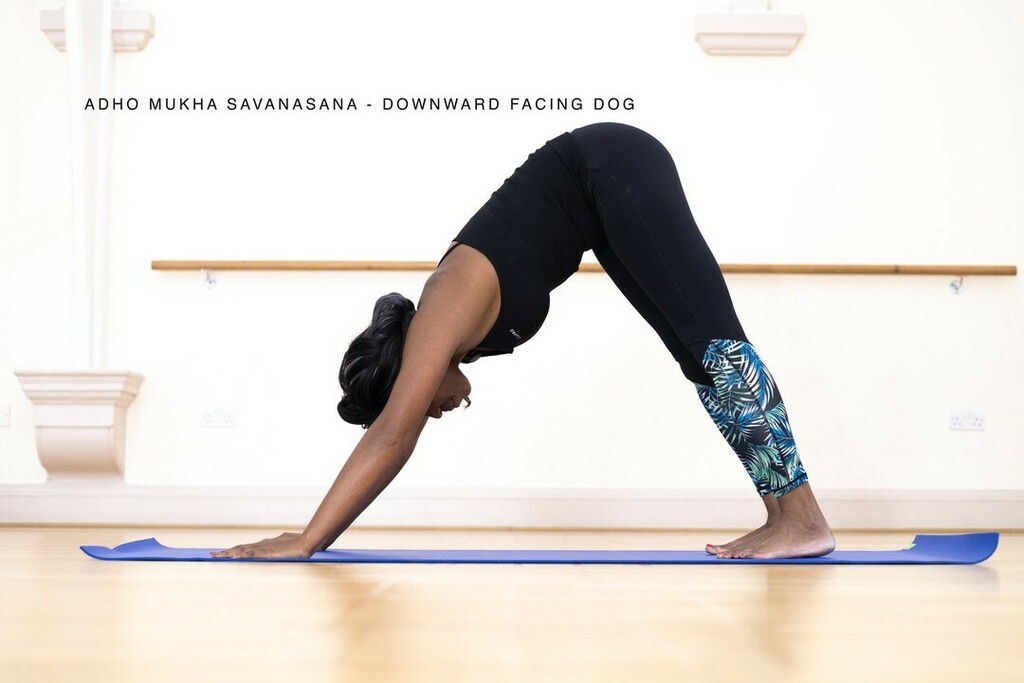 Trinity_Yoga_'s tweet photo. Our Favourite Feel Good poses - Downward Facing Dog - Adho Mukha Savasnasana

Famous amongst pet lovers (have you seen that video?) and one of the most well known, Downward Facing Dog is up there on the list of our favourites.  We often say its a "restin… https://t.co/wWnDjAk91X https://t.co/W2YXna7kRn