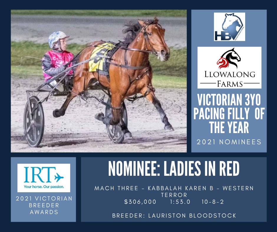 HarnessBreeders's tweet photo. The second of the 2021 Llowalong Farms Victorian 3YO Pacing Filly of the Year nominees is LADIES IN RED, by #MachThree &amp; bred by Lauriston Bloodstock: https://t.co/Ug5PBsl2g2