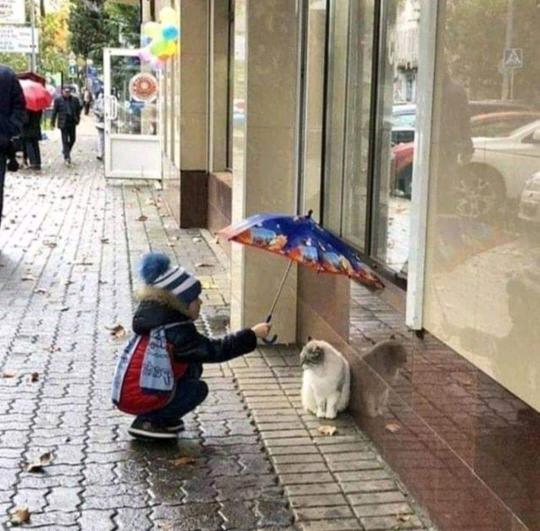 Humanité innée 👌 Loin de chez nous 🥲