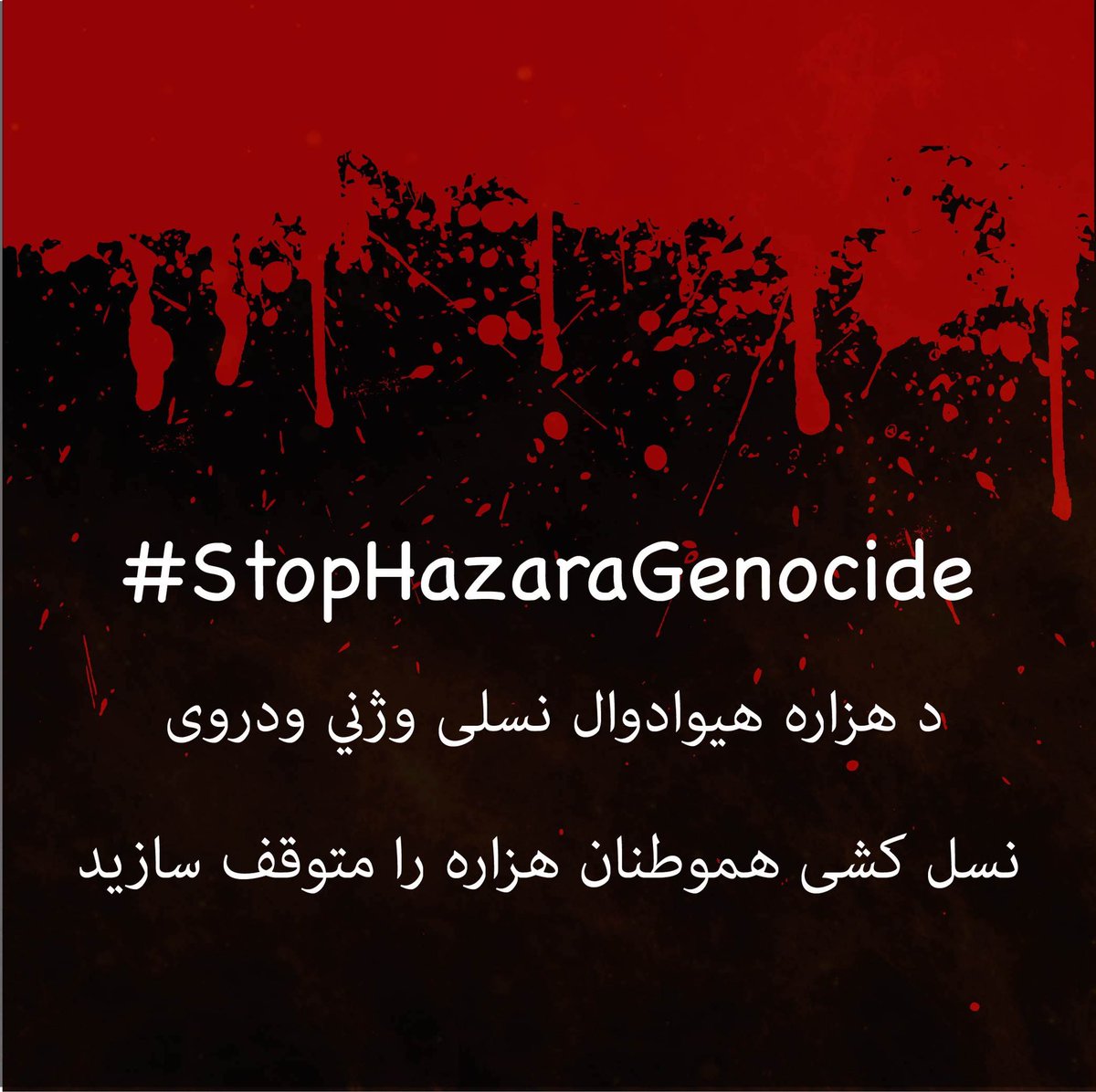 Hendukush's tweet photo. #StopHazaraGenocide https://t.co/ovw8N7kS46