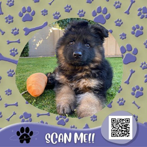 CafeOfPaws's tweet photo. ⠀⠀⠀⠀
⠀⠀⠀⠀[ 🐾 ] YOU RECEIVED A PET!

⠀⠀⠀𓏲 from  ›  https://t.co/jFVzuu5j4c
⠀⠀⠀𓏲 to      ›  @dominicouse

⠀ 💬 “To myself, I hope you sincerely love this dog. ♥ I hope that this would be your special friend while you stay here in this country. ”
⠀⠀⠀⠀⠀⠀⠀ https://t.co/ndBpOSzNic