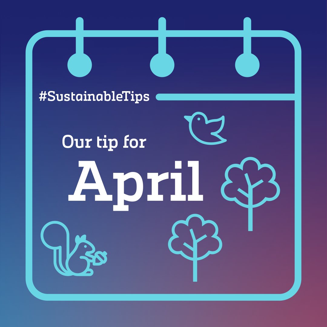 Alphabet International tweet media