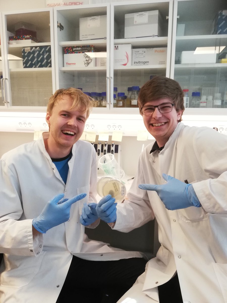 Magnus and Jacob are ready and excited for the BioBrick workshop starting today!