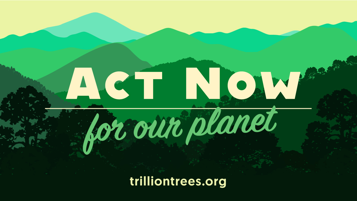 1TrillionTrees's tweet image. This #EarthDay, invest in our planet by investing in the world's forests &amp;amp; help us make meaningful impact for people, nature &amp;amp; climate.
➡️  bit.ly/3v8xzG9

@BirdLife_News @TheWCS @wwf_uk @WWFLeadForests @WWF
