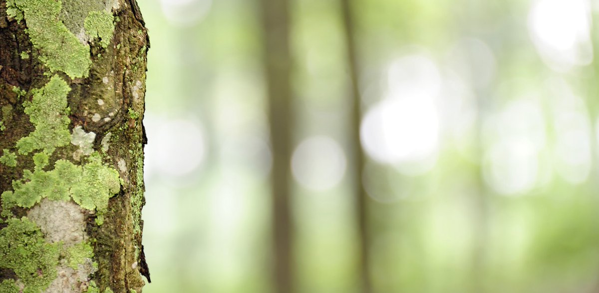 Supporting #EarthDay2022 earthday.org/earth-day-2022/ 
#InvestInOurPlanet