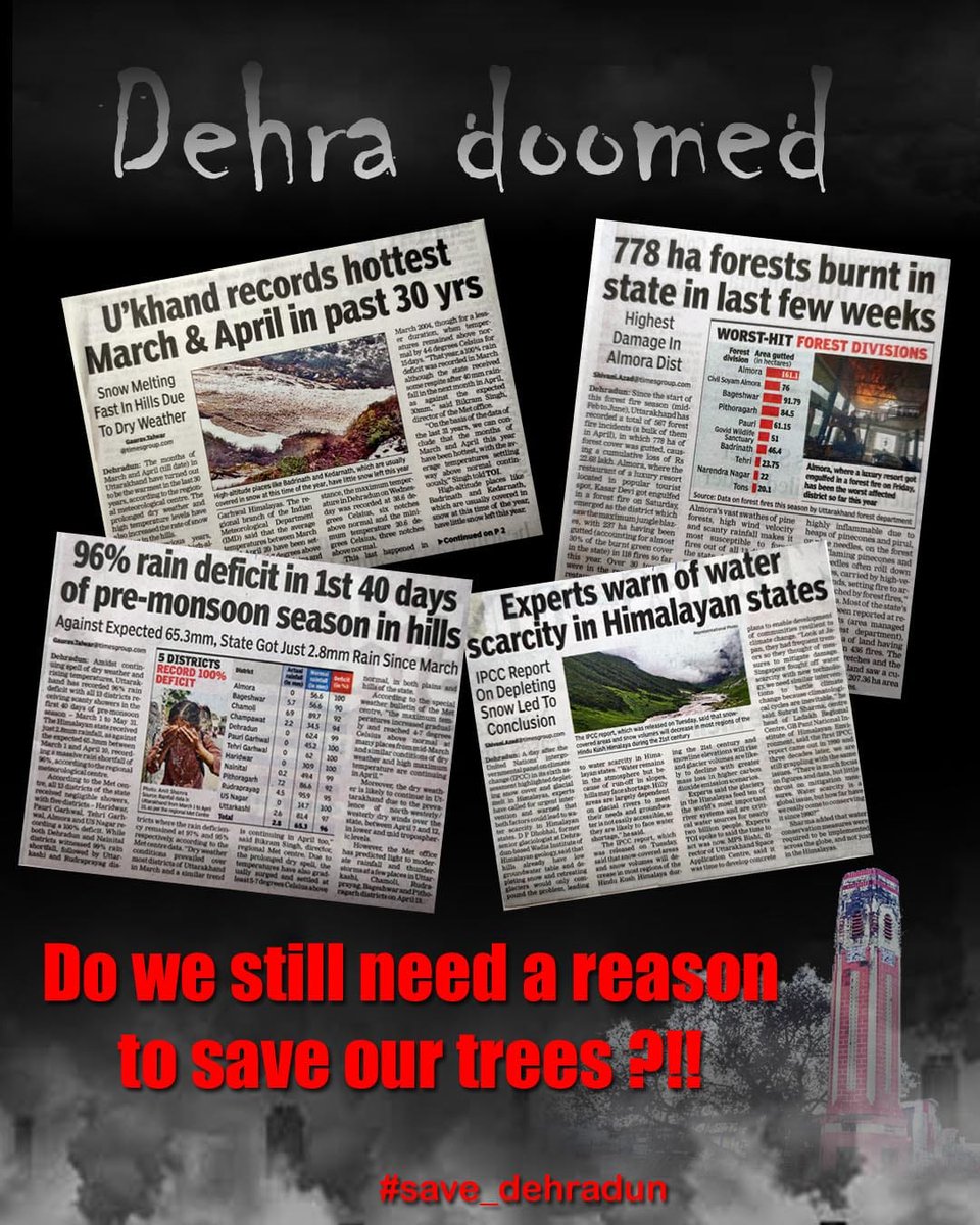 Save Thano Forest tweet media