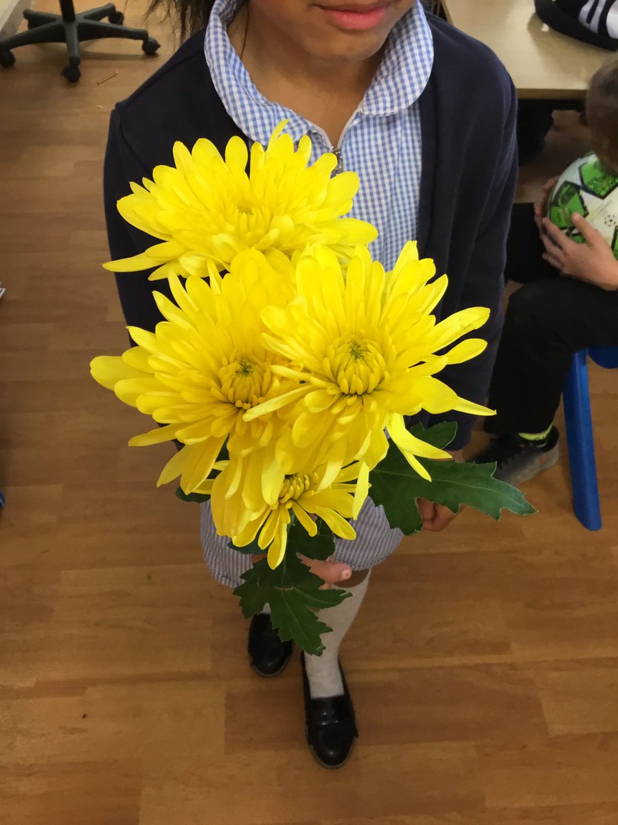 MrSpriggsRAV's tweet photo. Today we have been investigating the parts of a flower 🌹 #flowerpower https://t.co/LWM6AW0O2M
