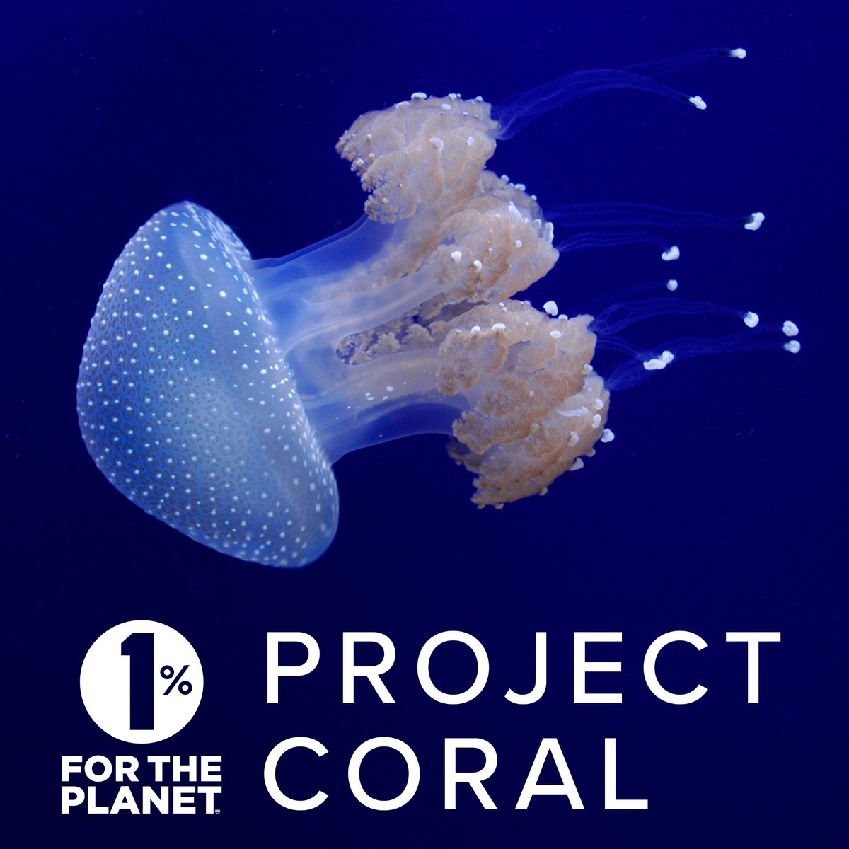origsmallbeer's tweet photo. Our friends and 1% for the Planet partner* at the Horniman Museum and Gardens are doing some amazing work. For Earth Day we'd like to shine a  spotlight on just how incredible their work is.⁠
#projectcoral #1percentfortheplanet #earthday⁠
Photo: Horniman Museum and Gardens https://t.co/DxvXtUrEw6