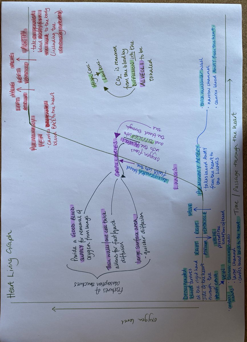 Lochgelly High School Science Faculty (@lhsteamscience) on Twitter photo Our National 5 Biology interpretation of living graphs to demonstrate their understanding of the heart, absorption structures and associated blood vessels <a href="/bones_carmel/">Carmel Bones</a> #raisingattainment #28daysuntiltheexam #lhsteamscience Our National 5 Biology interpretation of living graphs to demonstrate their understanding of the heart, absorption structures and associated blood vessels <a href="/bones_carmel/">Carmel Bones</a> #raisingattainment #28daysuntiltheexam #lhsteamscience