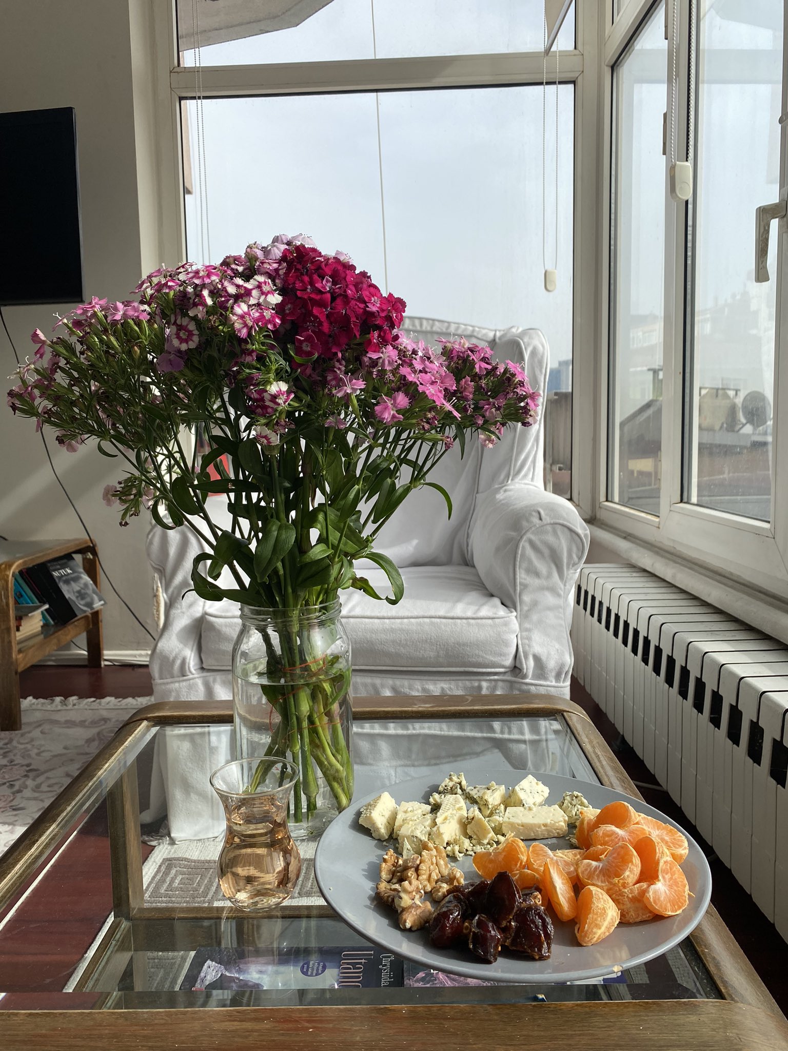 Ginger lady on Twitter "Вечер вошёл на мягких лапках 🐾 https//t.co