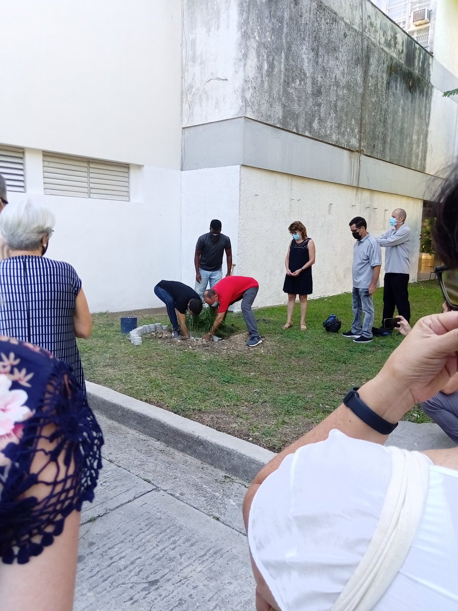 Anaisa Hernández González tweet media