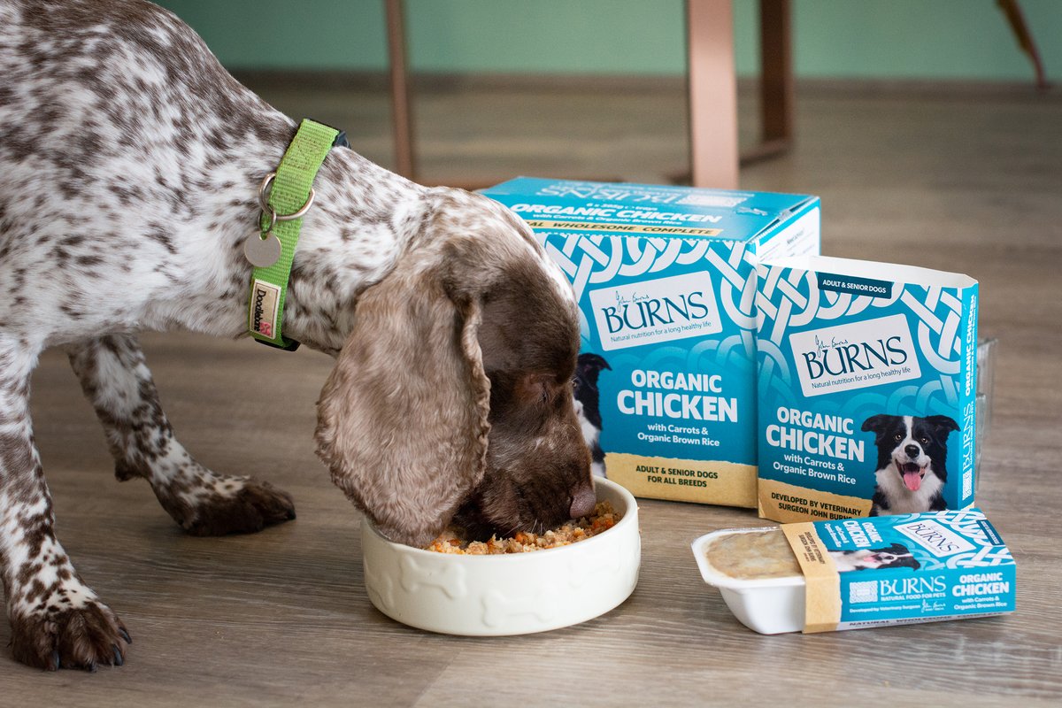 Our friends at <a href="/burnspetfood/">Burns Pet Nutrition</a> are on a mission to end the current obesity crisis many veterinary professionals have seen increase over the last few years. 

Discover their Weight Control range here: doglife360.co.uk/health-wellnes…