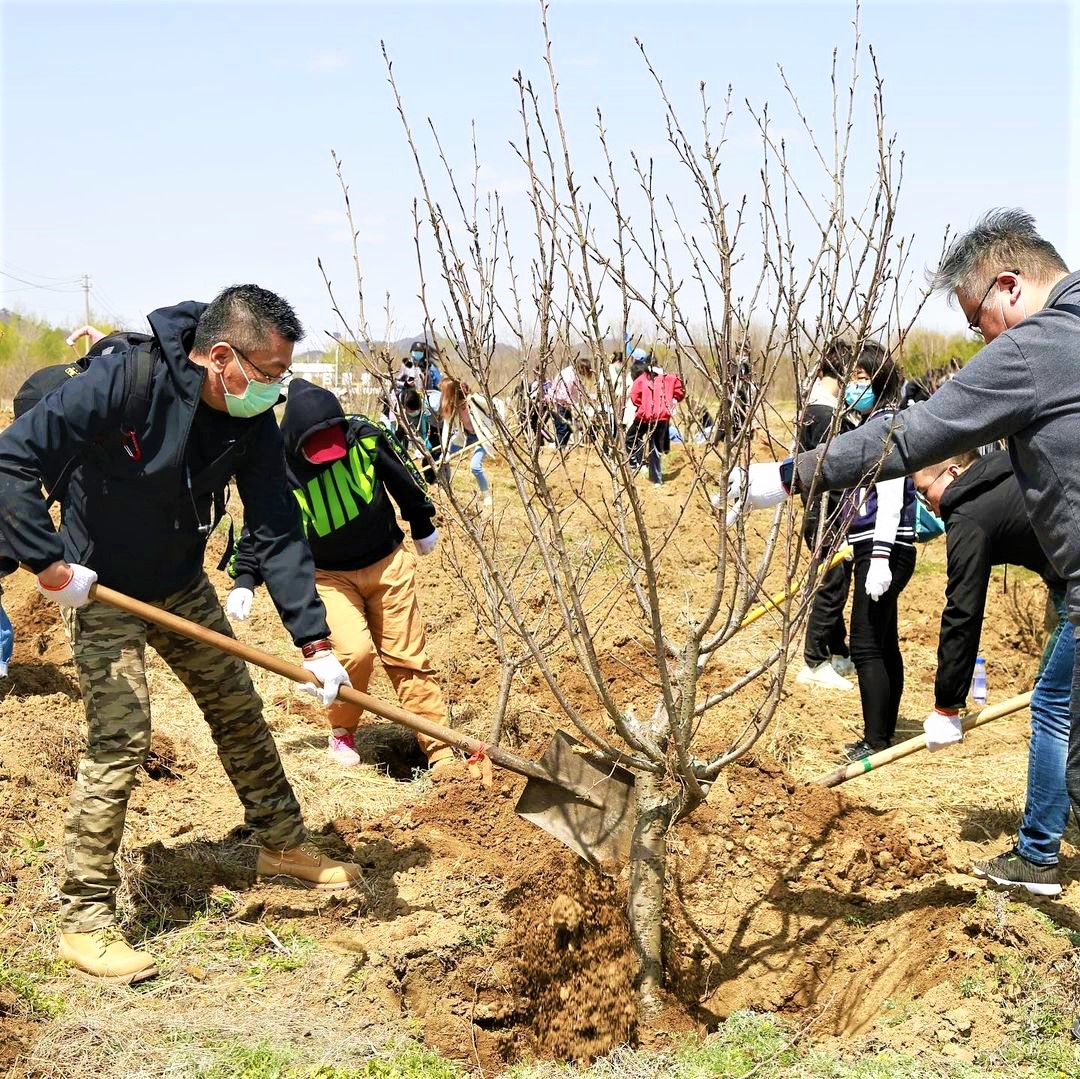 Concentrix's tweet photo. What if we told you, you have the power to transform the future? Well, you do! Make your #MyOneEarthPromise for #EarthDay &amp; impact the future. Each #MyOneEarthPromise you post Concentrix will plant one tree (up to 10k). Let's help protect the health of our planet. https://t.co/GIRAiYfkLU