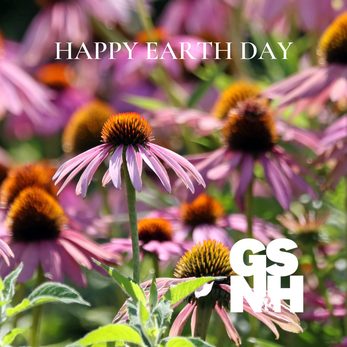 Happy Earth Day! 

Today, each firm member received a package of organic wildflower seeds (Echinacea) to plant this spring…our small part to help our planet.

#earthday2022 #conservewater
