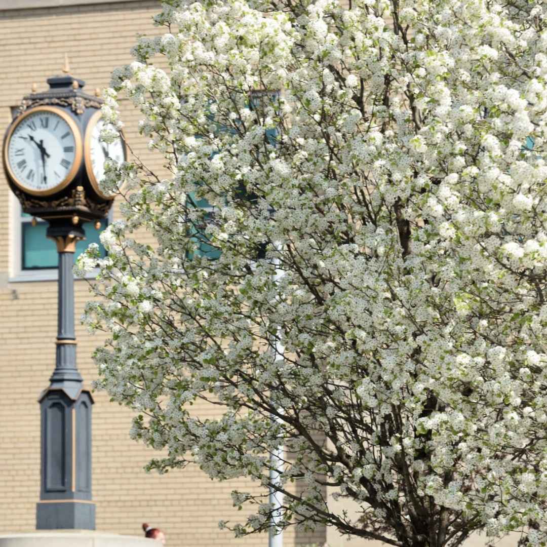 uakron's tweet image. Happy Earth Day, Zips! 🌎 No matter the season, our planet is what makes UA beautiful. 🌸

🌱 How are you celebrating #EarthDay2022? Reply below and send us your photos of mother nature at work around UA for a chance to be featured!