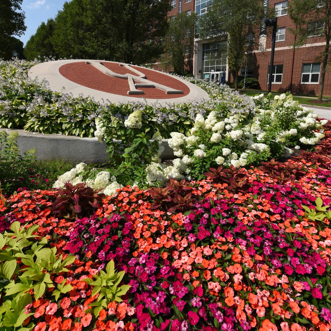 uakron's tweet image. Happy Earth Day, Zips! 🌎 No matter the season, our planet is what makes UA beautiful. 🌸

🌱 How are you celebrating #EarthDay2022? Reply below and send us your photos of mother nature at work around UA for a chance to be featured!