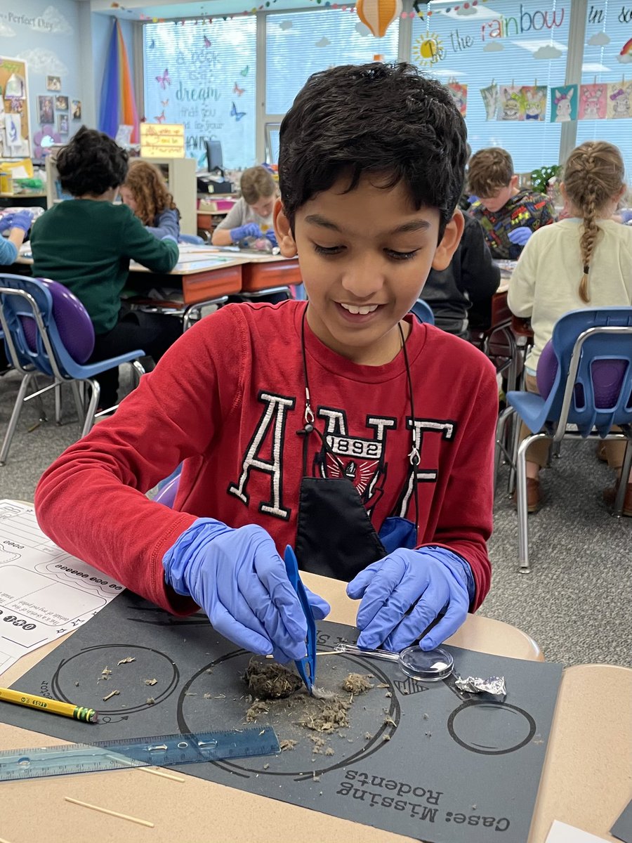BinfordBadgers's tweet photo. Badgers discovering the wonders of owl pellets! @MCCSC_EDU https://t.co/29HlvyZAk4