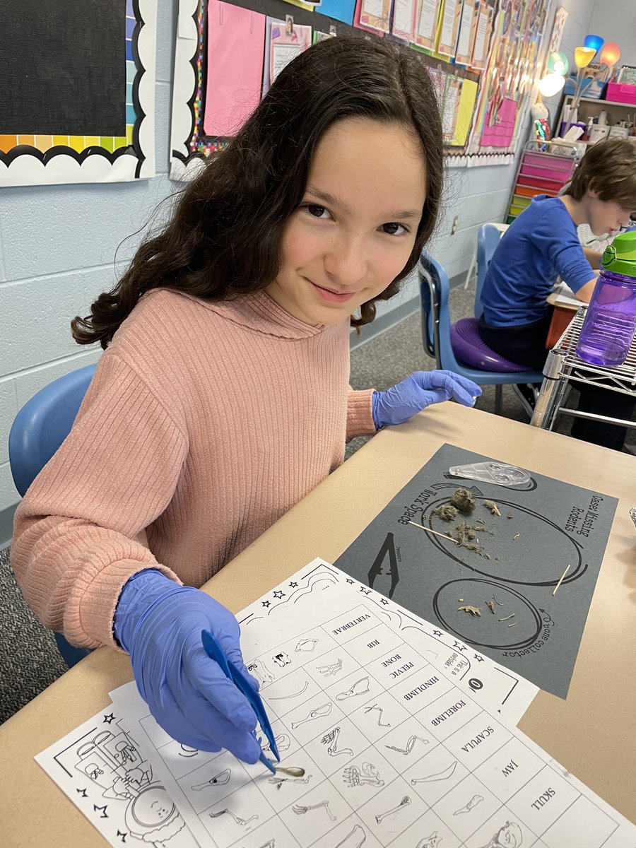 BinfordBadgers's tweet photo. Badgers discovering the wonders of owl pellets! @MCCSC_EDU https://t.co/29HlvyZAk4