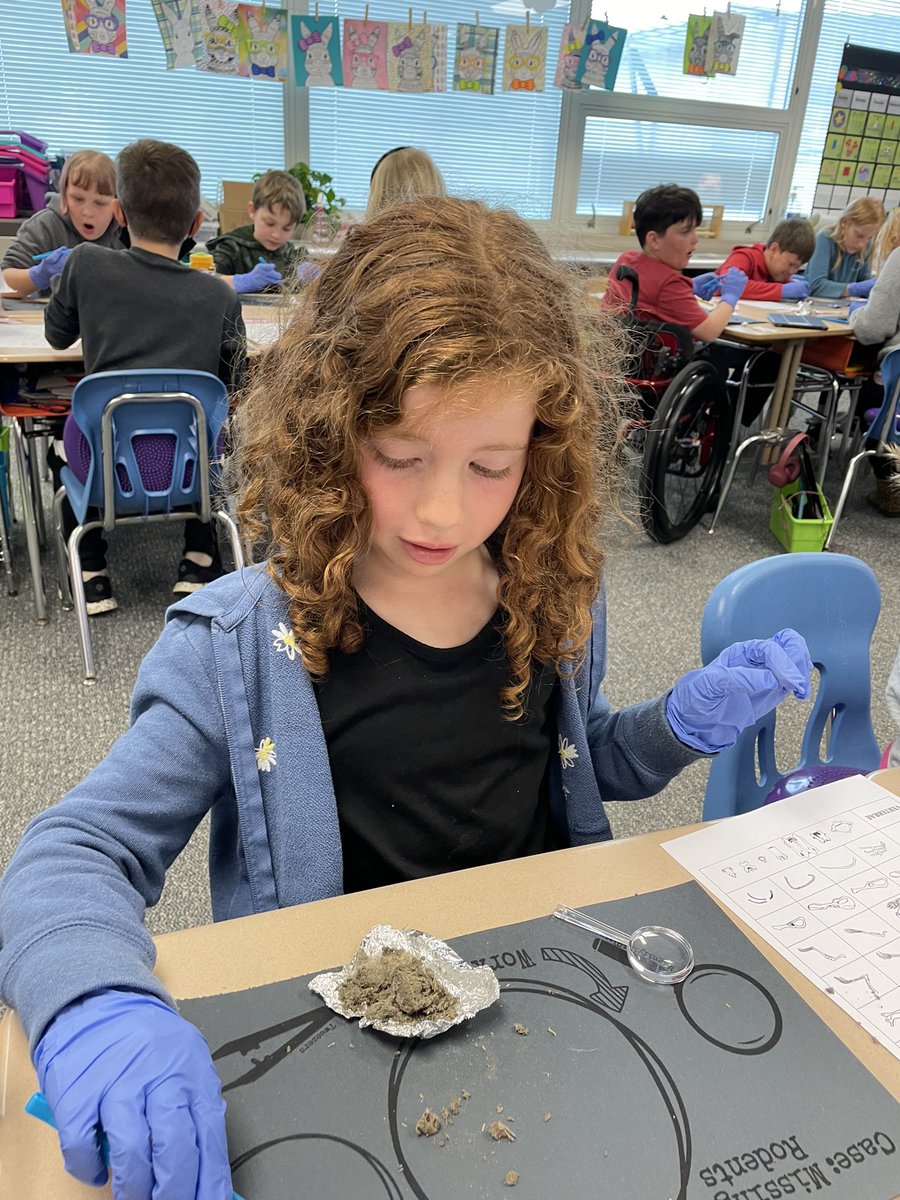 Badgers discovering the wonders of owl pellets! <a href="/MCCSC_EDU/">Monroe County CSC</a>