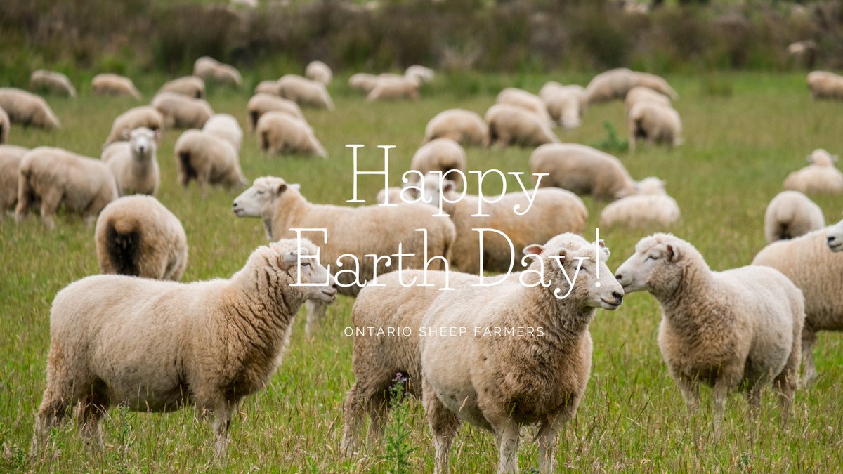 Happy Earth Day 2022!🌎 Read more about our commitment to Sustainability &amp; the Environment by visiting bit.ly/3vCj6B5 #Sheep <a href="/OntarioSheep/">Ontario Sheep</a> #Ontario