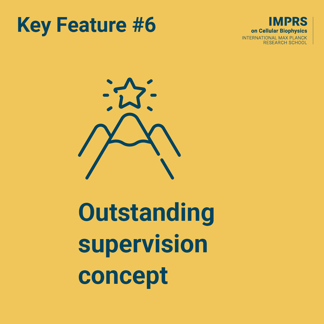 imprs_cbp's tweet image. What do we offer? #keyfeature 6: A dedicated #mentoring concept through Thesis Advisory Committees. Each #phd student chooses 4 mentors who provide feedback, ensure project progress &amp;amp; support students in achieving ambitious career goals. @MPIbp @goetheuni @uni_mainz @fias_science