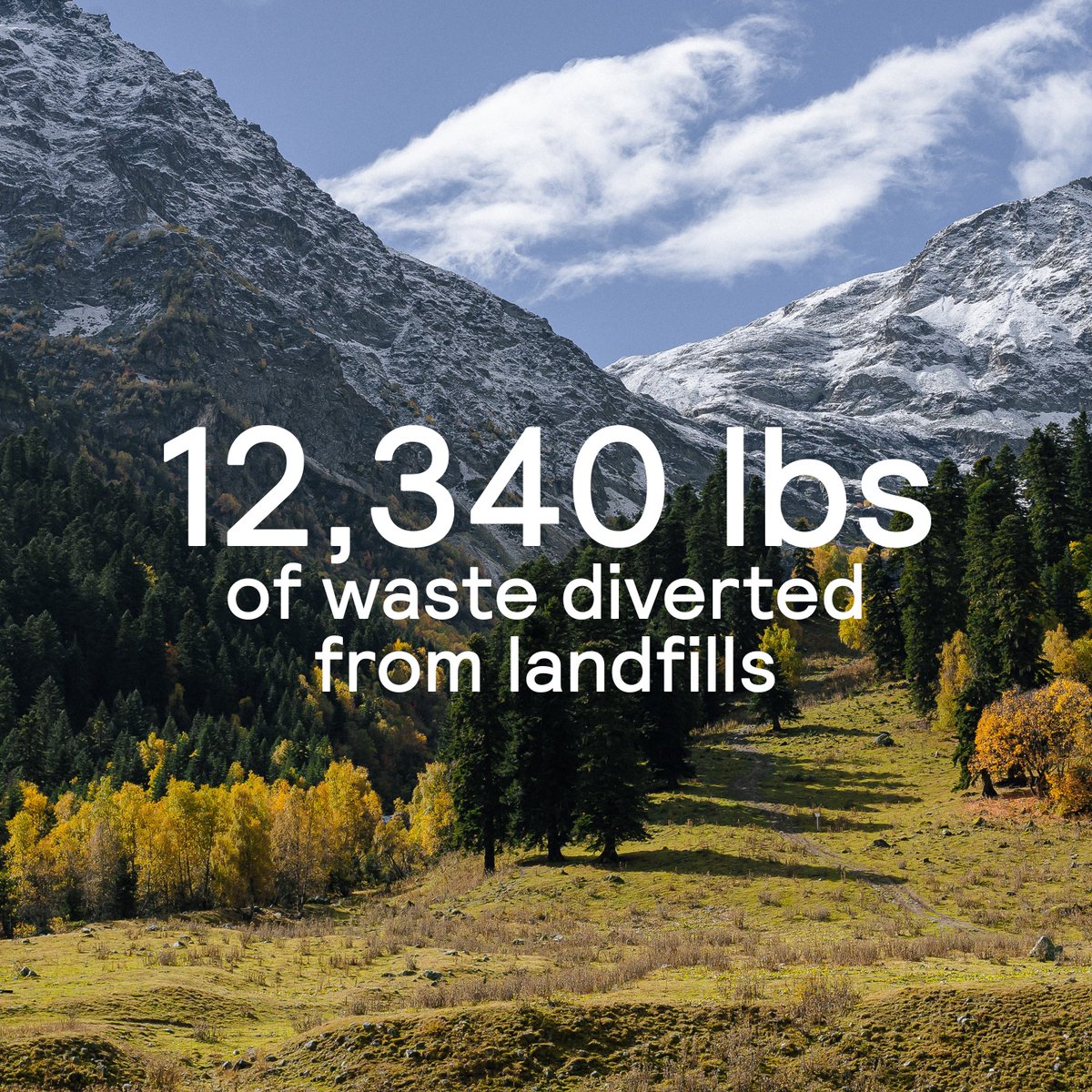 Perk Eco tweet media