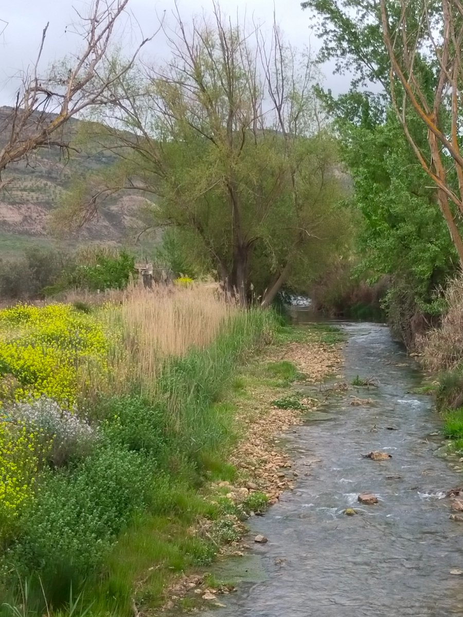 sambertus's tweet photo. #Cacin su río. https://t.co/ECaPQT26iK