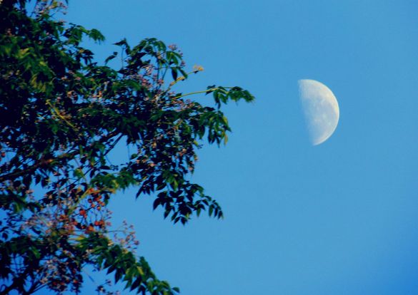 YorkOcanto's tweet photo. 👌🌟Este Sabado 23 de Abril a las 2:17 H Venezuela, tendremos un perfecto #CuartoMenguante en el signo de #Acuario.🌙
👌Es momento propicio para depurar,soltar,purgar y hacer limpieza plena de nuestro ser y nuestro entorno, trabajando el equilibrio del #chakracorazon https://t.co/7KYpB7jgQH