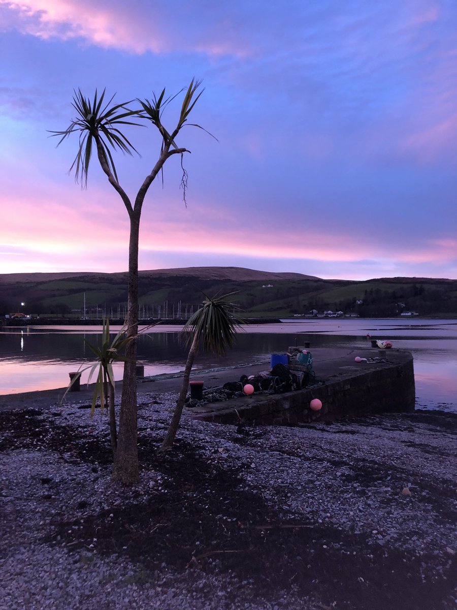 The Anchor Tavern, Isle of Bute, Community owned has opened. Come and visit this idyllic location-extensive range of drinks including one of the biggest ranges of non alcoholic drinks; wines, beers, gins and other spirits #alcoholfree #isleofbute #sobrietyrocks