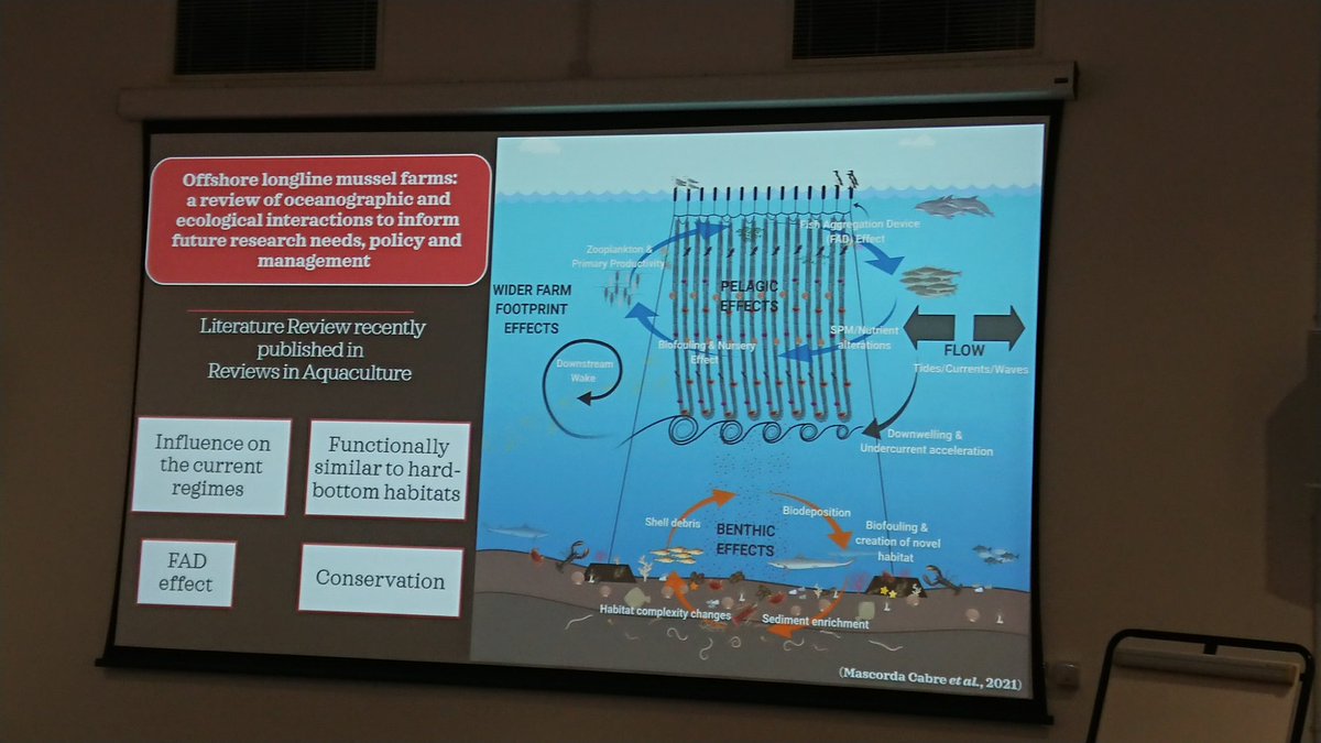 Great to be able to attend our school research conference on this #EarthDay2022 connecting with the inspiring biological and marine research @PlymUni lots of interesting talks including our team's own @LluciaMascorda discussing aquaculture and conservation with @OffshoreShell