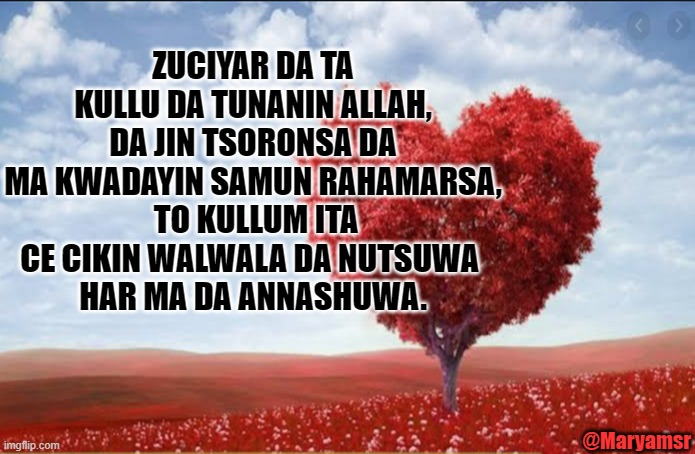 MaryamSRafind's tweet photo. https://t.co/LvKFythqFN