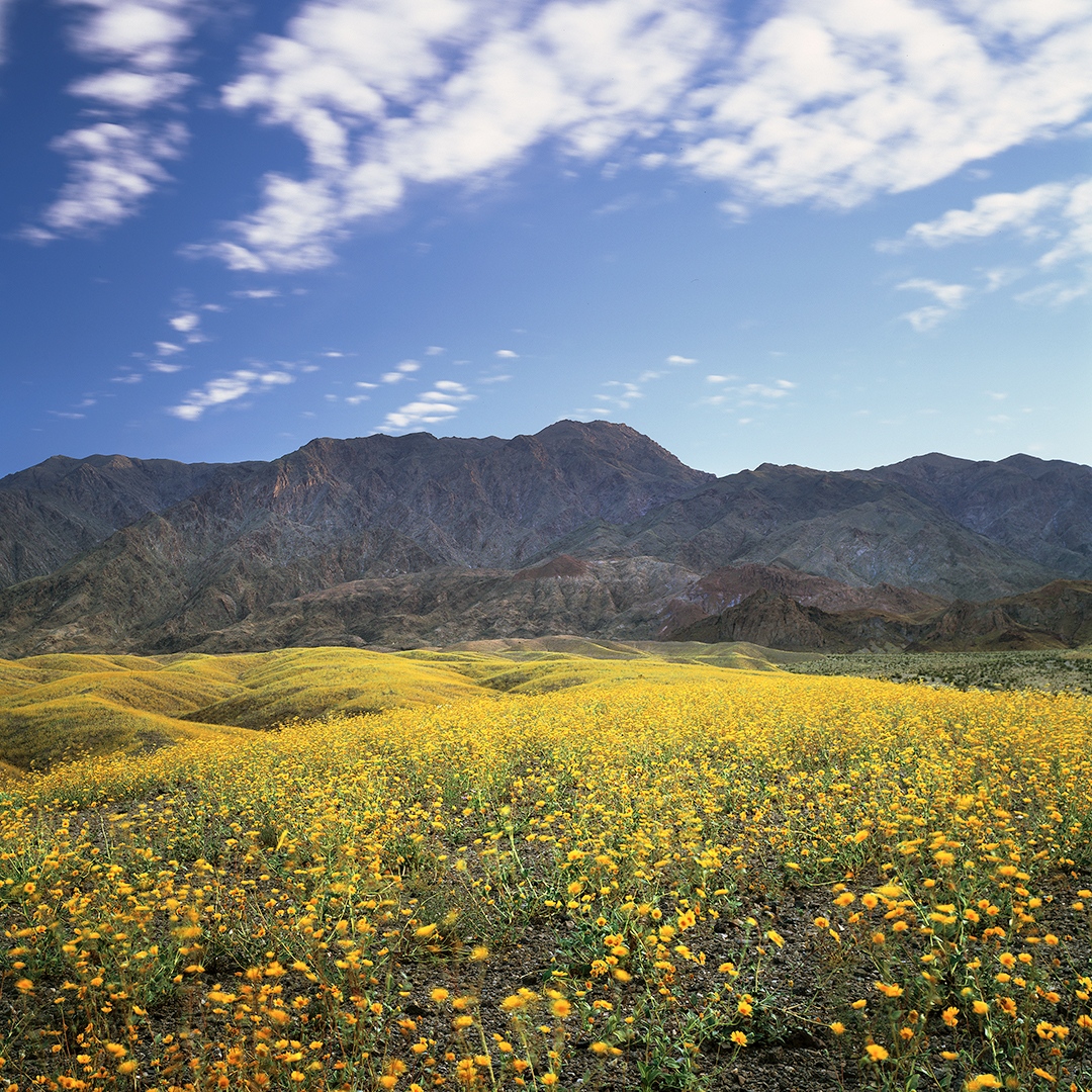 Juniper Ridge tweet media