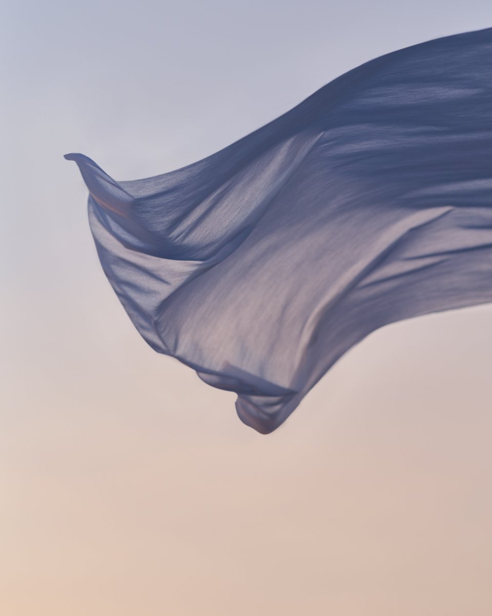 The $LIT family strikes again! Renée Kemps' first NFT was the LIT Rider, now she has released her own collection foundation.app/collection/daw…
Many thanks to the supportive House of Medici, see you at the reveal party of her art book at the palazzo in Florence, this May!