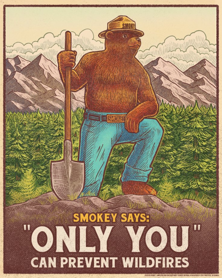 Happy 🌎 day! Did you know that forests cover over 30% of the world's land surface? 🤯 Practicing care and caution to prevent wildfires is one of the best ways we can help preseve our planet for generations to come! 📆