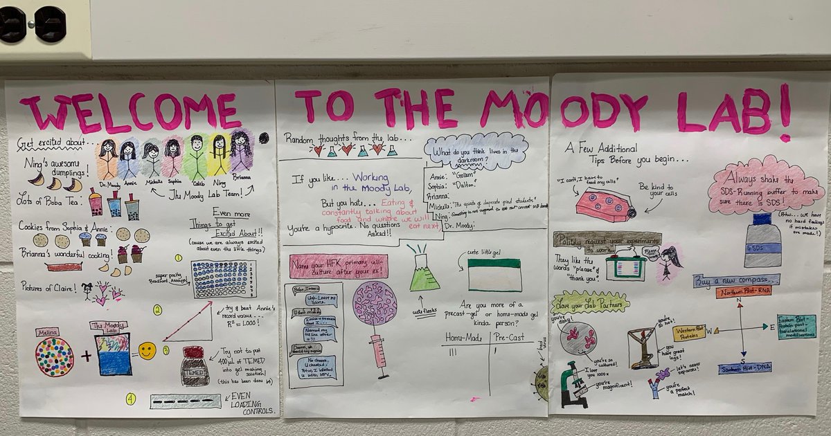 HPVlabUNC's tweet photo. We are very excited to have this outstanding graduate student, Melina @MelinaR_Science, join our lab! With an awesome welcome sign provided by one of our talented undergraduates, Sophia @sdspagee. https://t.co/BYIf5KTjGN