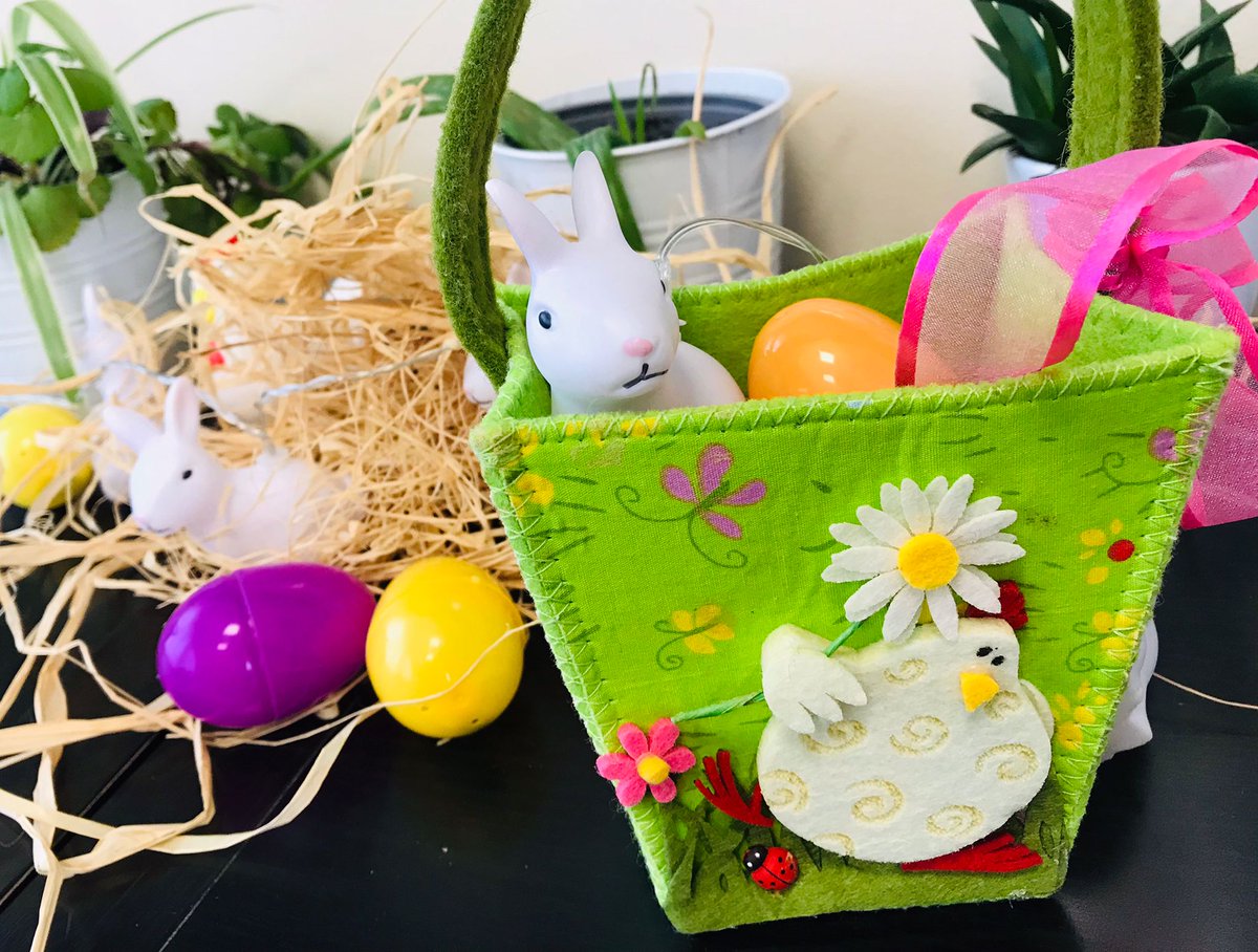 Easter Egg hunt in Lower School! #egghunt #lowerschool #aquinasamericanschool