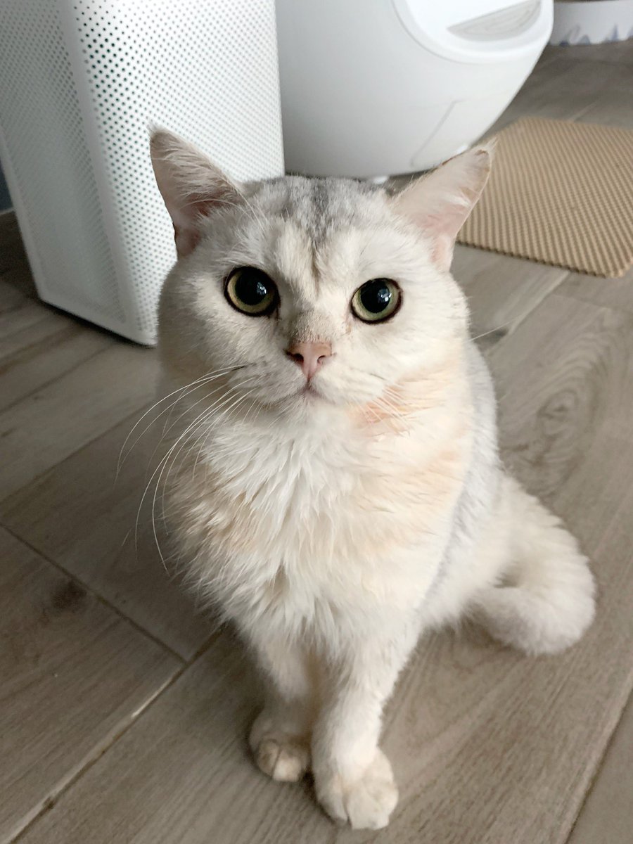 Bonusiie's tweet photo. ตอนนี้จะทำอะไรอยู่นะ https://t.co/wLs15bHczr