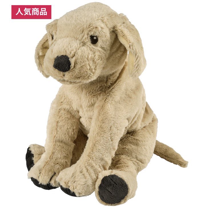 受付のジョーのちくわはどこで買える Twitterで話題のぬいぐるみをチェック ことのはランド