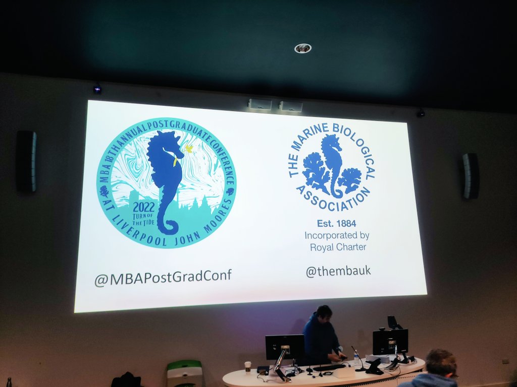 FilipamAfonso's tweet photo. 1st Conference participation as a PhD Student! Truly enjoyed the @MBAPostgradConf, congratulations to all the speakers, participants and organization members #MBAPGC22 https://t.co/tFmJapyn8w
