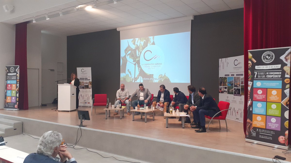 Cet après-midi se tient l'Assemblée de section des Vignerons Cooperateurs d'Occitanie. Interventions des vice-présidents territoriaux sur le retour des actions de la section de l'année 2021 Ludovic Roux Fabien Castelbou Anthony Bafoil Joel Boueilh Guillaume Ribes Jeanluc Constans