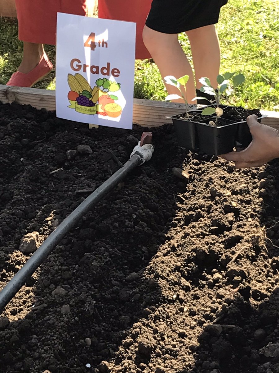 Scott Wolfe tweet media