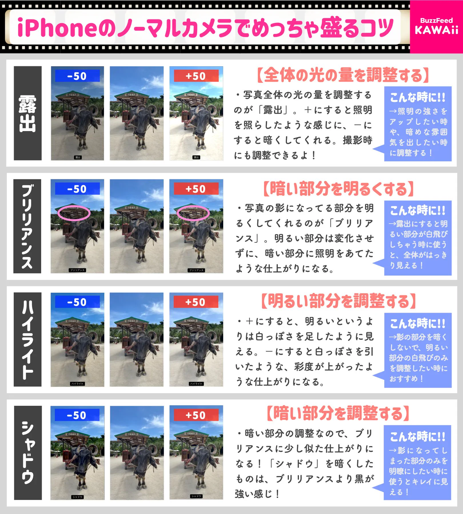 iPhoneユーザーさんは必見！iPhoneのノーマルカメラで最大限に盛るコツを紹介したツイートが話題に！