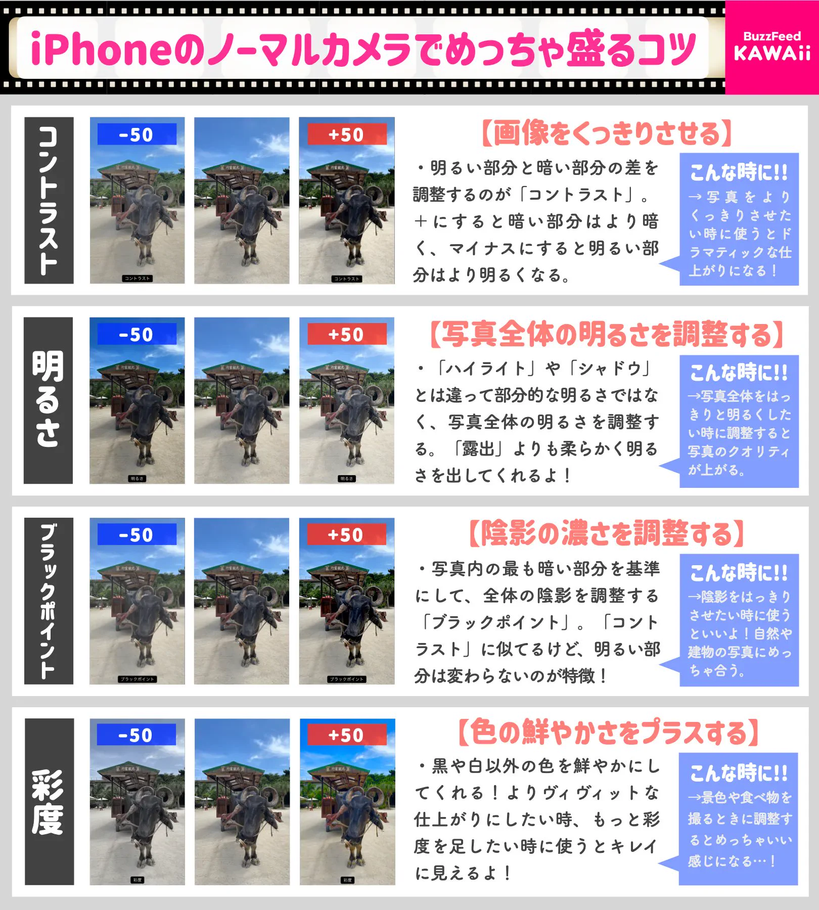 iPhoneユーザーさんは必見！iPhoneのノーマルカメラで最大限に盛るコツを紹介したツイートが話題に！