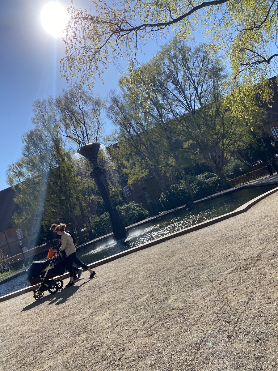 missdesignsays's tweet photo. A group of tourists on bikes … #bikecph #bikers #sharingcph #allgoodthingsdanish #hiddengem #royallibrary #copenhagen https://t.co/1TNdQDNycD