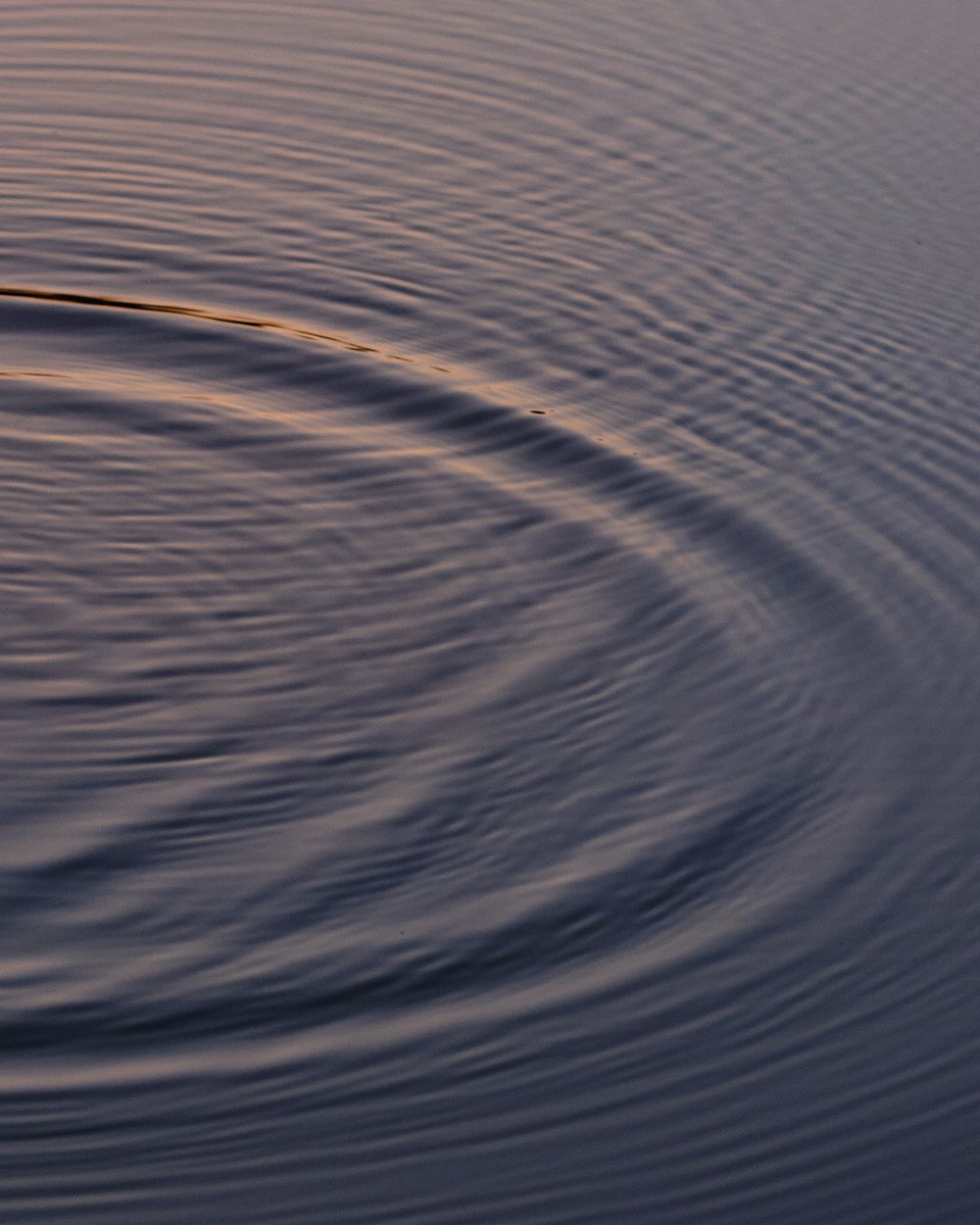 Thanks to <a href="/JakNFT/">jak</a>'s kind offer for an invitation to <a href="/foundation/">Foundation 🌐</a>, Renee's just released her first NFT collection! Kindness is what this space is all about 🥰
foundation.app/collection/daw…